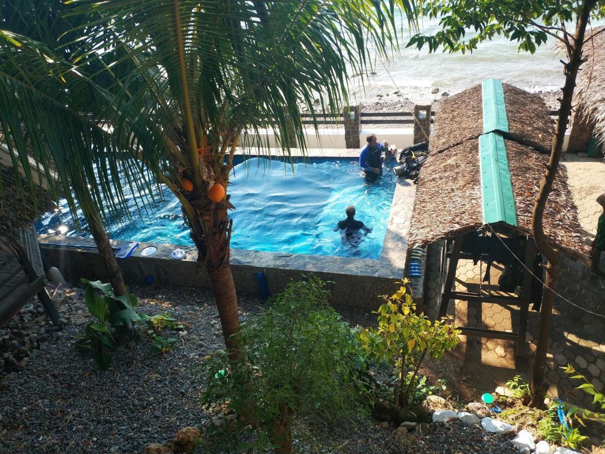 Blue Ribbon Dive Resort Mabini (Batangas) Exterior foto